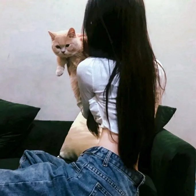 老虎扮猪夺黄金 封面